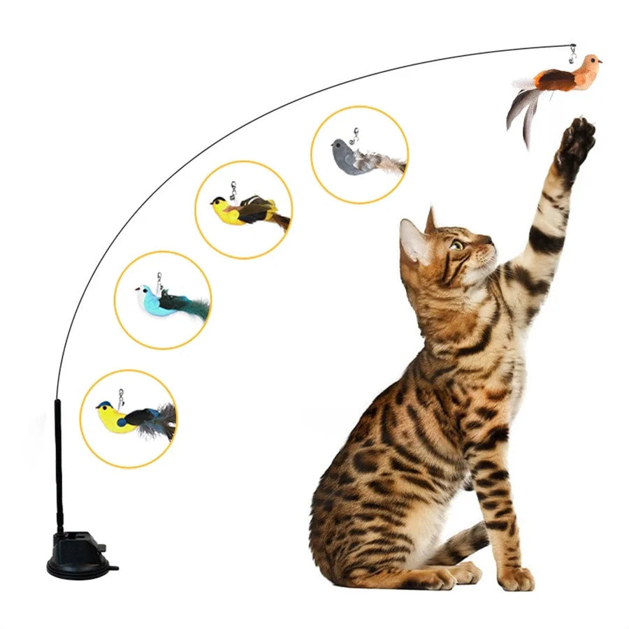 🐱The Hunting Bow - Activates your cat in no time