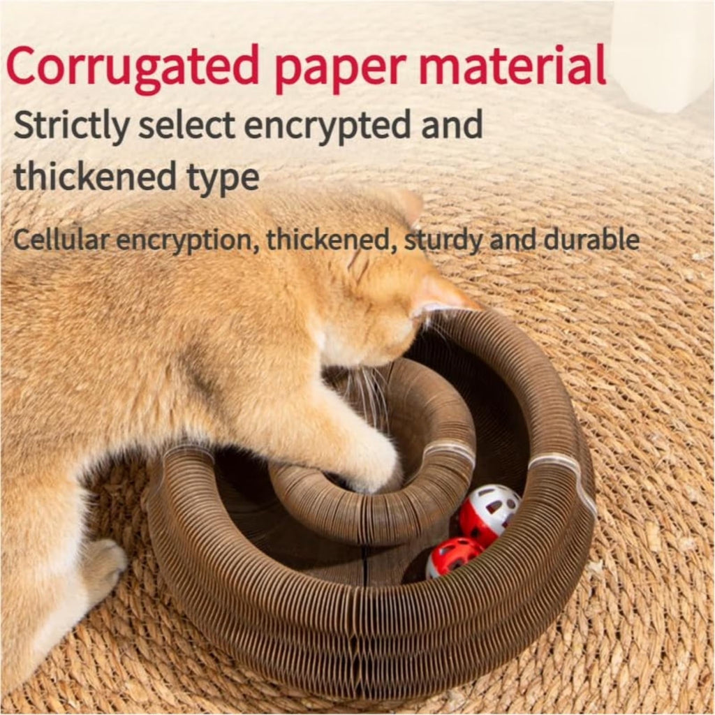 Kitty Curls Cat Toy