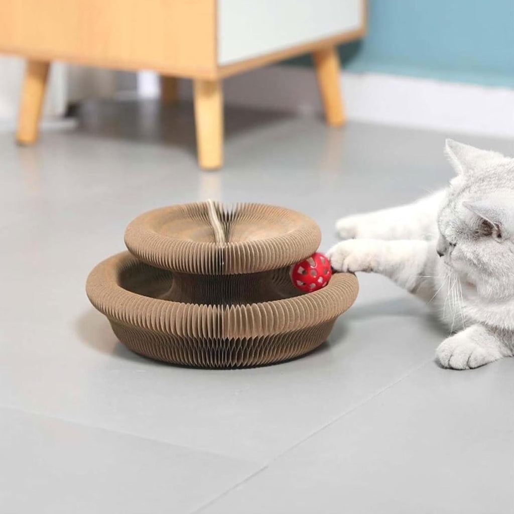 Kitty Curls Cat Toy