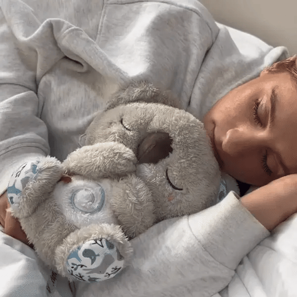 Soothing Koala - Your anchor against nighttime anxiety